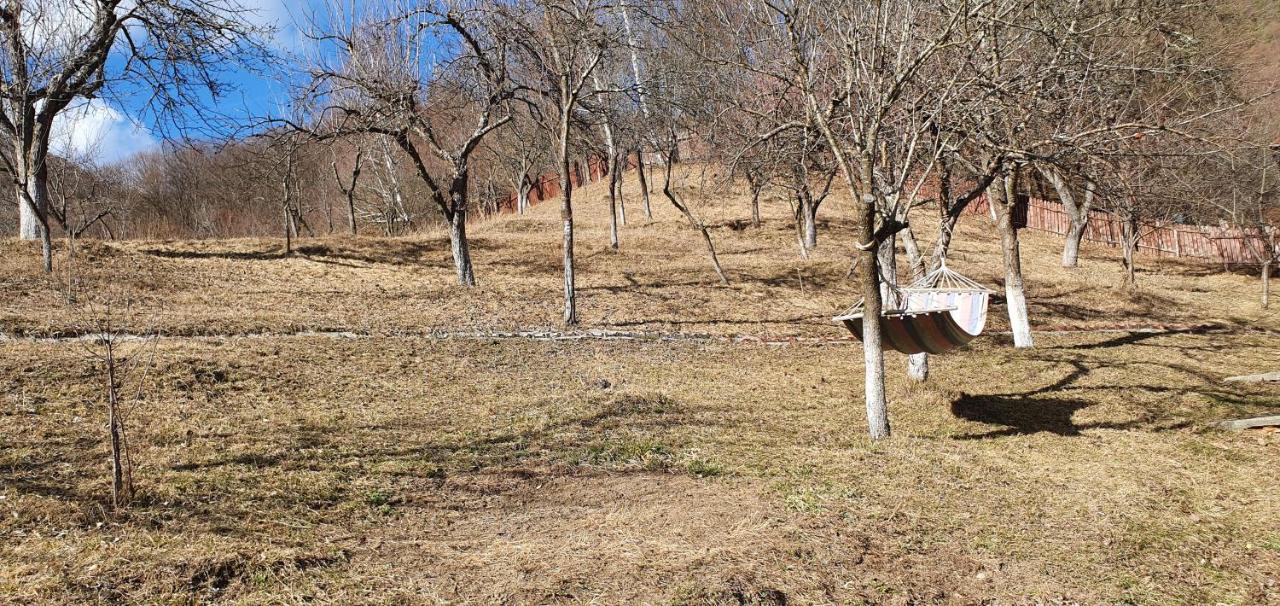 فيلا Casa Colt De Rai بريزوي المظهر الخارجي الصورة