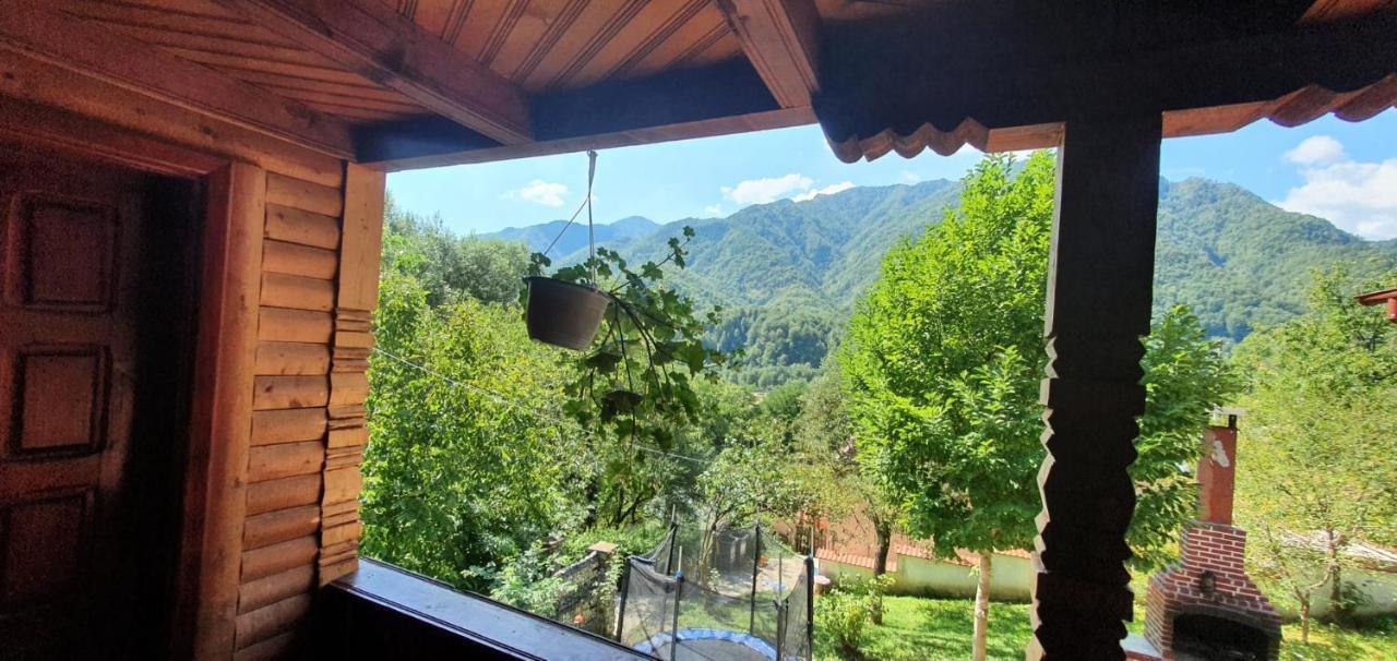 فيلا Casa Colt De Rai بريزوي المظهر الخارجي الصورة
