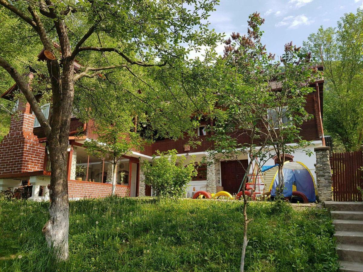 فيلا Casa Colt De Rai بريزوي المظهر الخارجي الصورة