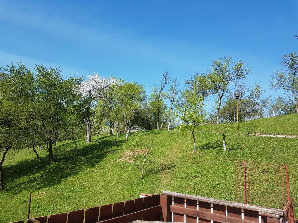 فيلا Casa Colt De Rai بريزوي المظهر الخارجي الصورة
